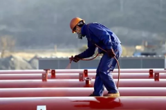 䓽Y(ji��)��(g��u)��ϩ��۰������� (�p�M��)