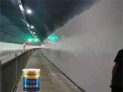 �h(hu��n)��ˮ�Դɻ���Ĥ �{�״ɻ���