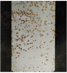 涂料用防閃銹劑有哪些種類?如何科學使用? 涂料在線,coatingol.com